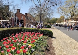 Golf Course Studio - Kingsmill, Minutes to Busch Gardens & Colonial Williamsburg