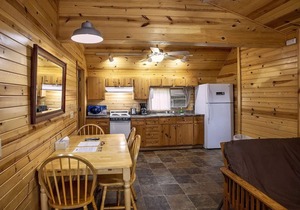 Great River Road Cabin on the Mississippi Backwaters Fox Cabin