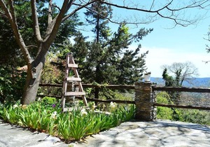 Grove Cottage Pelion