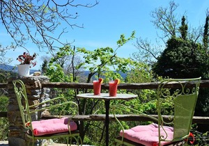 Grove Cottage Pelion