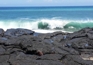 Hale Hamakua