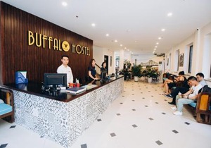 Hanoi Buffalo Hostel