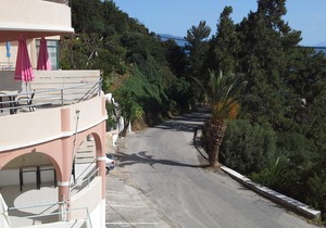 Harbour View