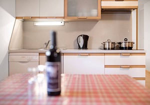 Haus Aue - Apartment 3 with Mountain View & Wi-Fi