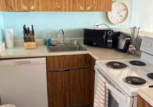 Hawaiian Princess 206 n1990/NUC-2223