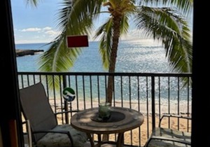 Hawaiian Princess 206 n1990/NUC-2223