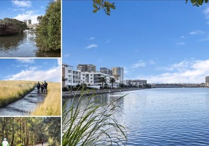 Hidden GEM in Wentworth Point