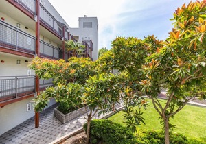 Hip San Jose 1BR w/Gym, Pool, W/D, walk to WF + Caltrain, by Blueground