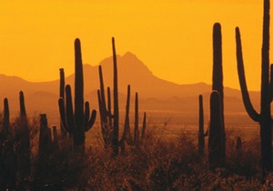 Historic and cultural attractions nearby!