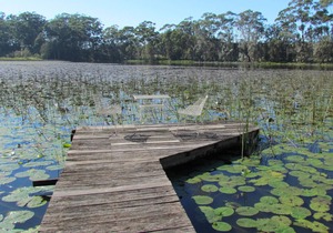 Historic Lake Russell Gallery Sanctuary - Emerald Beach