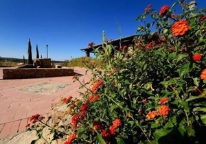 Holiday apartment Campiglia Marittima for 1 - 6 persons with 2 bedrooms - Holiday apartment