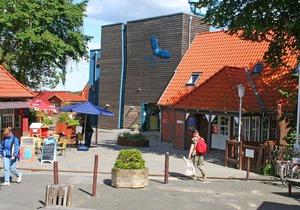 Holiday apartment Bad Segeberg for 1 - 4 persons with 1 bedroom - Holiday apartment