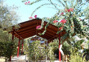 Holiday apartment Zakynthos for 1 - 4 persons with 2 bedrooms - Holiday apartment in one or multi-fa