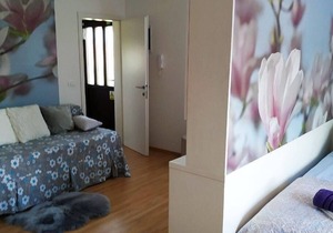 Holiday apartment Buje for 2 - 4 persons - Holiday apartment in one or multi-family house