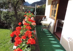 Holiday apartment Dorfgastein for 1 - 4 persons with 1 bedroom - Holiday apartment