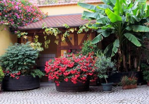 Holiday apartment Itterswiller for 1 - 6 persons with 3 bedrooms - Holiday house