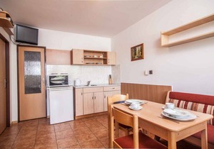 Holiday apartment in good ski location