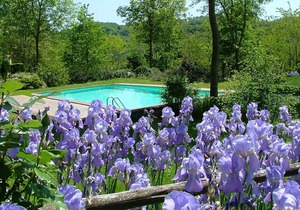 Holiday apartment Proceno for 1 - 2 persons with 1 bedroom - Castle