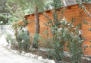 Holiday apartment Vieste for 1 - 3 persons with 1 bedroom - Holiday apartment