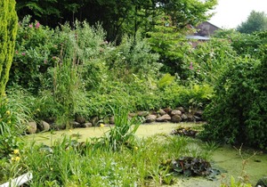 Holiday apartment Windeby for 1 - 3 persons with 1 bedroom - Holiday apartment