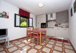 Holiday apartment with terrace near the sea