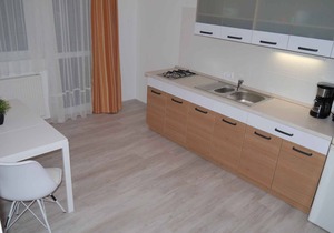 Holiday apartment with WLAN in a quiet location