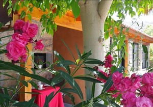 Holiday flat La Gomera southwest Tenerife