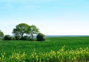 Holiday home Græskobbel A- 1413