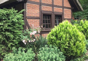 Holiday Home in Kirchdorf with Swimming Pool,Terrace, Garden