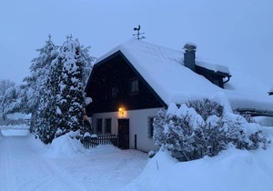 Holiday house for 8 persons approx. 190 m² in Fischertratten, Carinthia (Upper Carinthia)