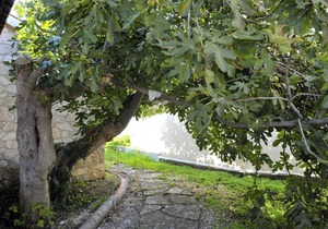 Holiday house Dragove for 1 - 6 persons with 2 bedrooms - Twin house