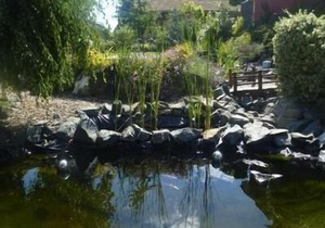Holiday house Frankenberg for 1 - 7 persons with 3 bedrooms - Holiday home