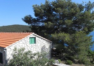 Holiday house Maslinica for 1 - 4 persons with 2 bedrooms - Holiday home