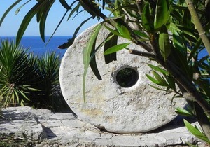 Holiday house Maslinica for 1 - 4 persons with 2 bedrooms - Holiday home