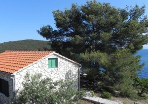 Holiday house Maslinica for 1 - 4 persons with 2 bedrooms - Holiday home