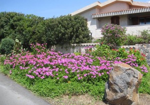 HOLIDAY HOUSE WITH HUGE GARDEN AND SUPERB VIEW OF THE SEA AND THE MOUNTAINS