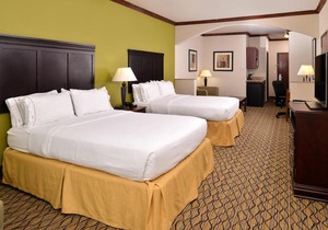 Holiday Inn Express Hotel & Suites Sherman Highway 75
