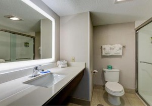 Holiday Inn Express & Suites Ashtabula-Geneva by IHG