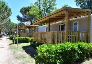 Holiday park Marina Camping Village - Lodge Comfort PET AGCLU (3523)