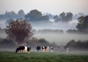 Hook Farm Cottages