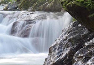 Hospedaje Los Pinos, cabaña en Minca