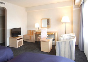 Hotel Excel Okayama