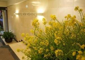 Hotel New Nishino