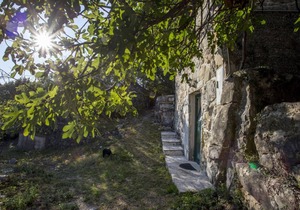 House ∙ 1 bedroom ∙ 3 guests