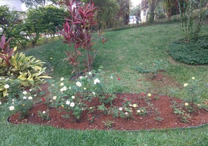House in Ilhabela gated community