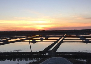 House / Villa - Guérande