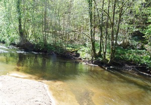 In the nature, along the river with sport activities and swimming pool