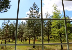 INSIDE YOSEMITE! 10 Minutes From Yosemite Valley. SUMMER/FALL openings!