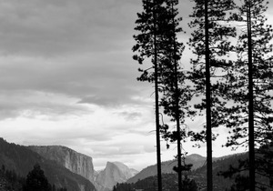 INSIDE YOSEMITE! 10 Minutes From Yosemite Valley. SUMMER/FALL openings!