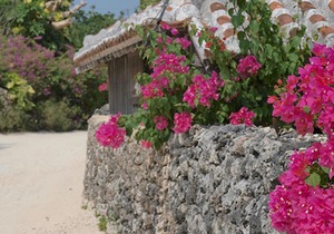 Ishigaki Guesthouse Hive